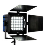 NILA Boxer - Daylight